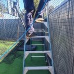 sports netting sydney installation in progress
