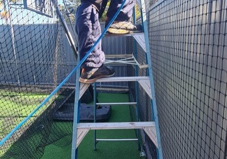sports netting sydney installation in progress